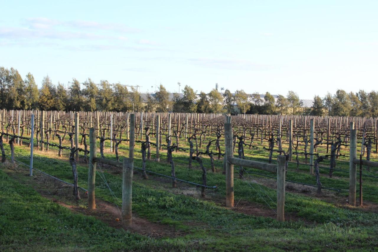 Milawa Vineyard Views - Guesthouse 2 Kültér fotó